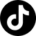 TikTok Logo